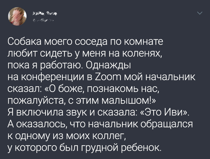 16 твитов с развязкой, которая была бы достойна комедии Шекспира