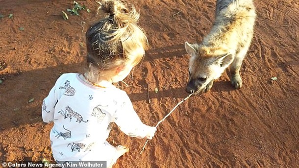 Сеть покорила девочка, подружившаяся с гиенами. Фото