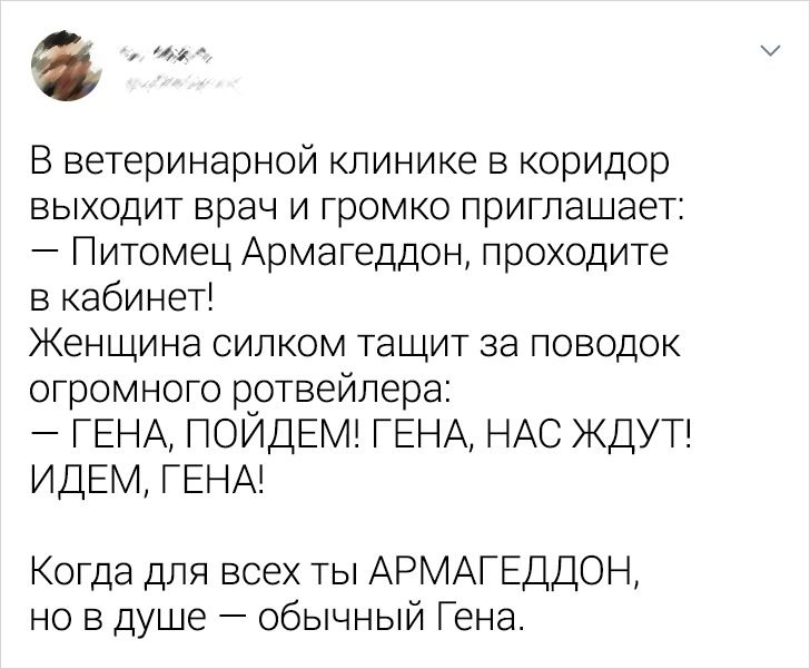 19 твитов от людей, которые мыслят крайне нестандартно и действуют так же