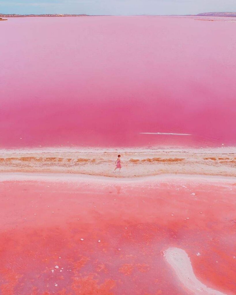 Розовую лагуну в Австралии показали на невероятных снимках. Фото