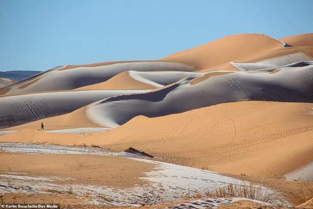 В пустыне Сахара выпал снег. Фото