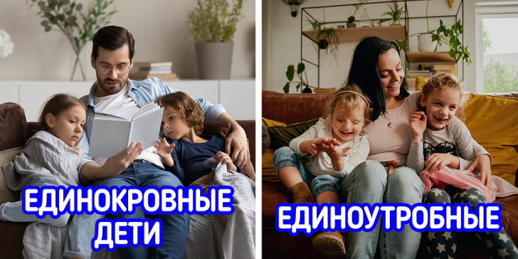 10+ родственных связей, в которых запутается даже лингвист, а вы теперь не будете