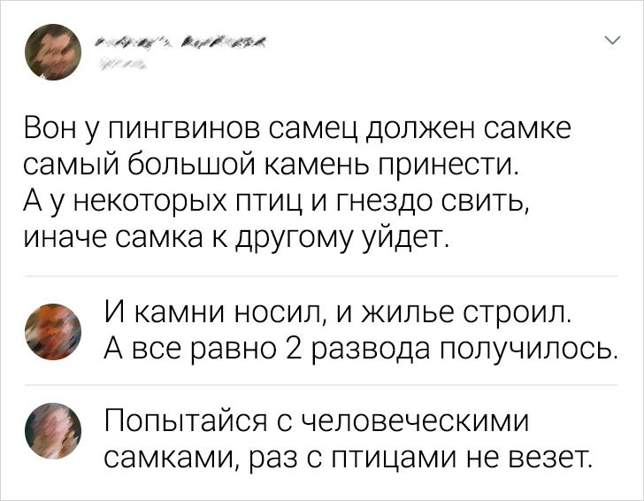 15 хлестких комментариев, которые моментально спустят с небес на землю