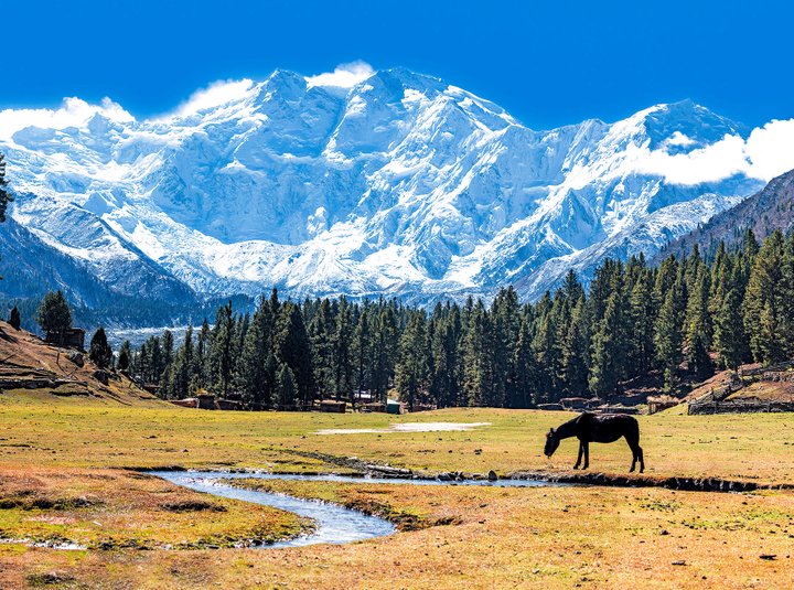 Живописные горы, погубившие немало альпинистов. Фото