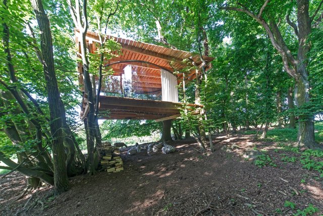 В Чехии построили уникальный домик на дереве из стекла. Фото