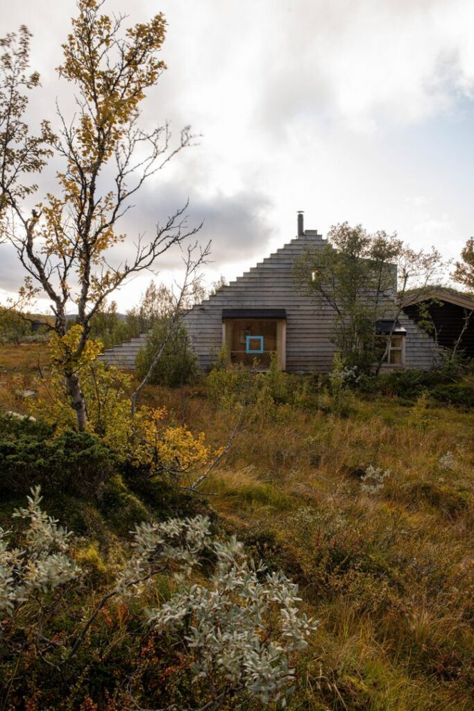 В Норвегии построили уникальный дом в виде лыжной трассы. Фото