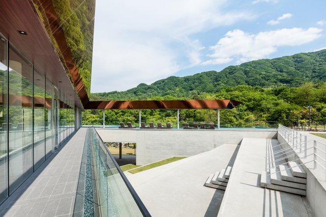В Южной Корее лес превратили в эко-отель. Фото