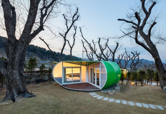 В Южной Корее лес превратили в эко-отель. Фото