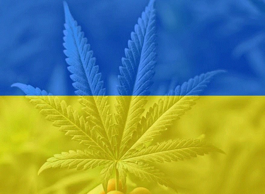 Легализация CBD в Украине. Легален ли СБД в 2022. Законопроект от 07.06.2022