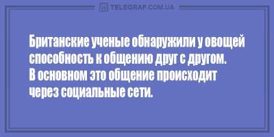 «Все вы бабы такие»: свежие анекдоты для хорошего настроения 