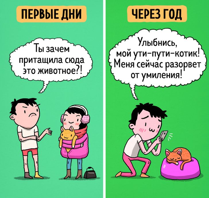 10 комиксов о том, как выглядят отношения с котом в первые дни совместной жизни и через год