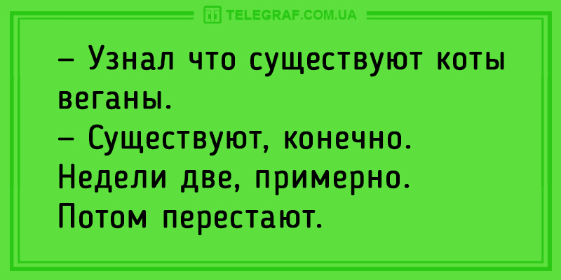 Убойные анекдоты, которые поднимут настроение на весь день