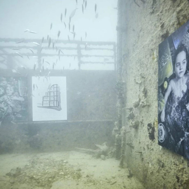 Фотограф удивил уникальной подводной выставкой. Фото