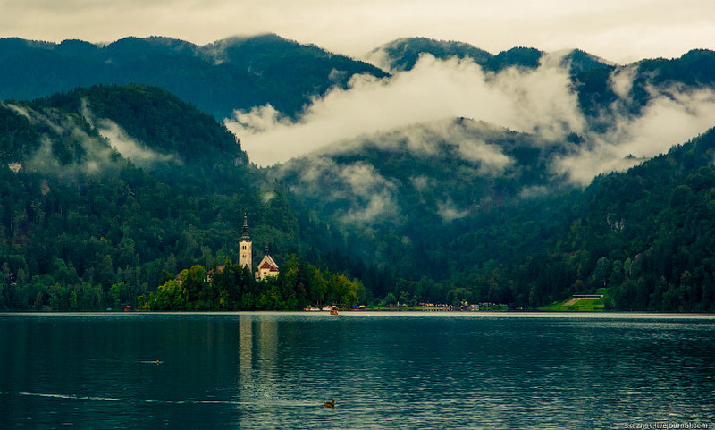 bled