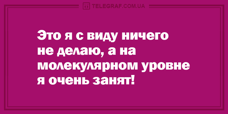 Свежая порция веселых историй, заряжающих позитивом