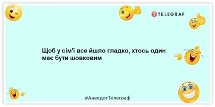 Анекдоти про сім’ю - Щоб у сім'ї все йшло гладко, хтось один має бути шовковим