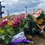 Удар по Вінниці: поховали загиблу дівчинку Лізу (ФОТО)