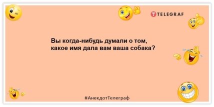 анекдоти про собак