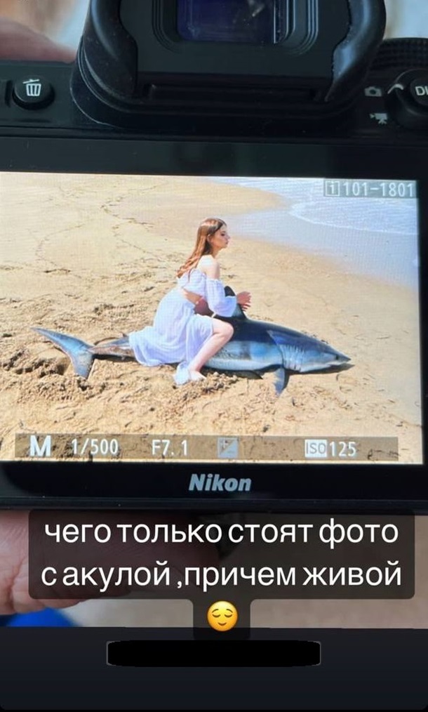 Россияне убили акулу ради фотографий 