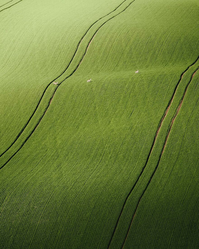 Захватывающие дух аэрофотоснимки Габора Надя (фото)