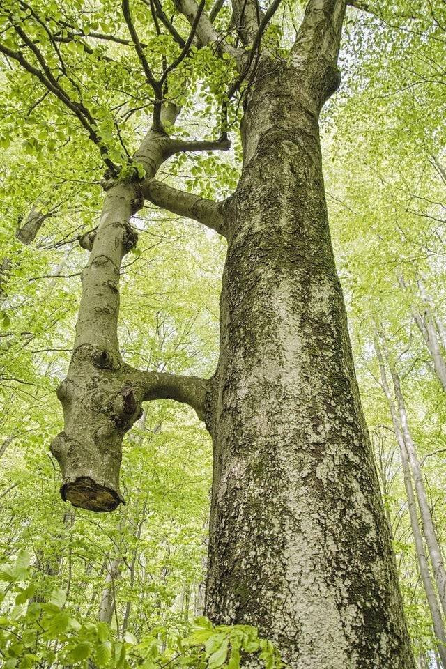 Цікаві знімки про все на світі (фото)