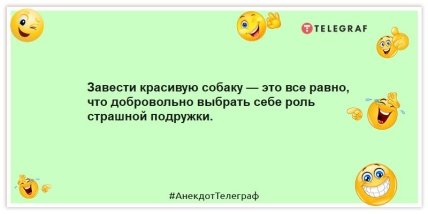 Анекдоты про животных - Завести красивую собаку — это все равно, что добровольно выбрать себе роль страшной подружки.