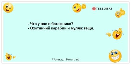 анекдоты про тещу и зятя