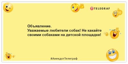 Анекдоты про животных - Объявление. Уважаемые любители собак! Не какайте своими собаками на детской площадке!