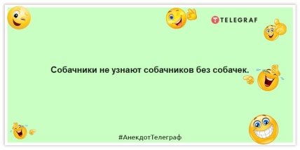 Анекдоты про животных - Собачники не узнают собачников без собачек.