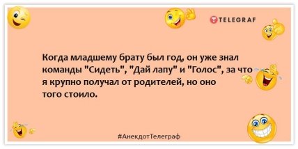 Анекдоты про братьев и сестер - Когда младшему брату был год, он уже знал команды "Сидеть", "Дай лапу" и "Голос", за что я крупно получал от родителей, но оно того стоило.