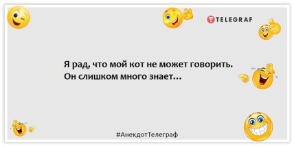 Анекдоти про тварин - Я радий, що мій кіт не може казати.  Він дуже багато знає…