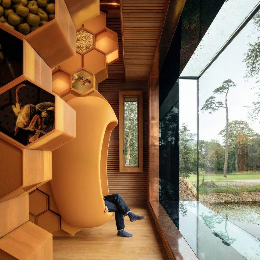 В Британии отель предлагает пожить рядом с пчелами. Фото