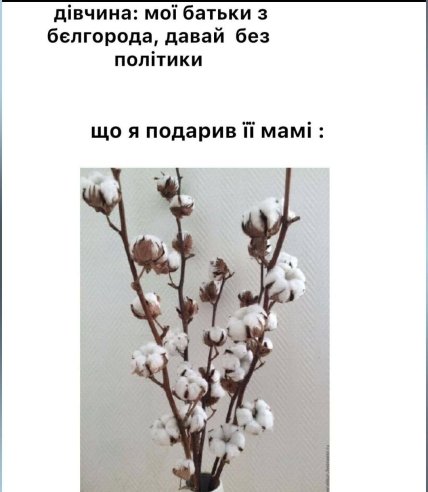 Анекдоти про росію та росіян - жарти про бавовни