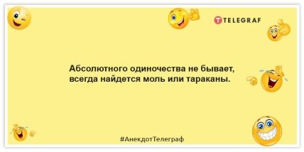 Анекдоти про самотність - Абсолютної самотності не буває, завжди знайдеться моль чи таргани.