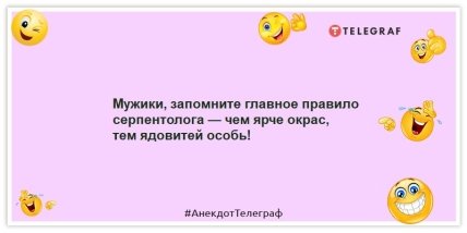 Анекдоти про чоловіків - Чоловіки, запам'ятайте головне правило серпентолога - чим яскравіше забарвлення, тим отруйна особина!