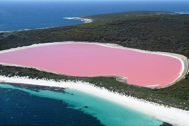 Туристів підкорило озеро кольору кока-коли, розташоване у Бразилії.  Фото
