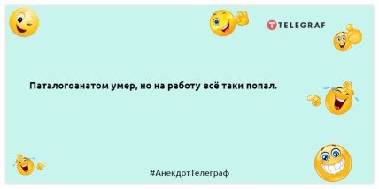 Якщо вам у голову лізе всяка маячня, значить у неї там гніздо: смішні анекдоти для вашого настрою (ФОТО)