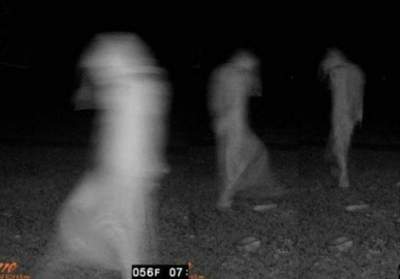Пугающие снимки, сделанные камерами ночного видения. Фото