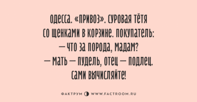 Улыбка до ушей: веселые открытки от настоящих оптимистов