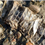 У берегов Темзы нашли огромную кожу змеи (ФОТО)