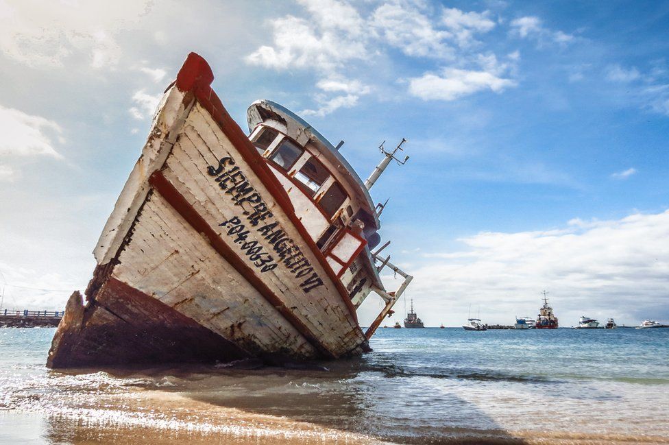 Победители фотоконкурса Galapagos Conservation Trust Photography Competition 2017