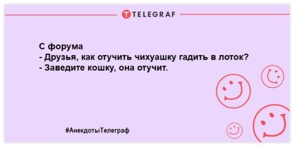 "Стукайте голосніше - у дворі глухий собака": ульотні жарти про братів наших менших (ФОТО)