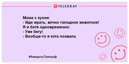 "Стукайте голосніше - у дворі глухий собака": ульотні жарти про братів наших менших (ФОТО)