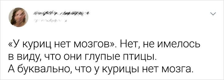 20+ осіб, які зіткнулися із залізобетонними доказами того, що дурість не має межі