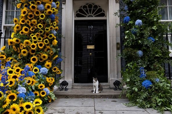 У Британії офіс прем'єра прикрасили соняшниками та зіграли Stefania (ВІДЕО)