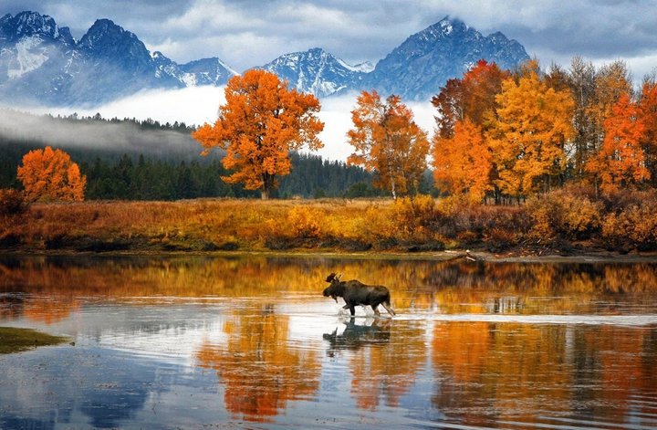 Який вигляд має осінь у найкрасивіших місцях на планеті.  Фото