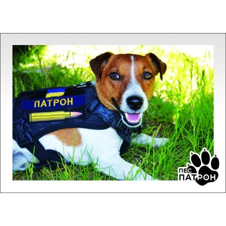 Укрпочта выпустила марку с псом Патроном (ФОТО)