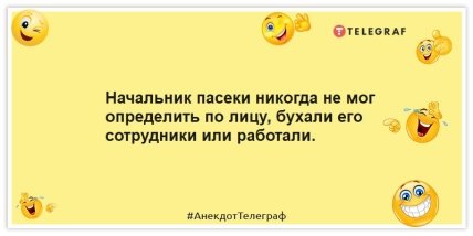 Анекдоты про пчел - Начальник пасеки никогда не мог определить по лицу, бухали его сотрудники или работали.