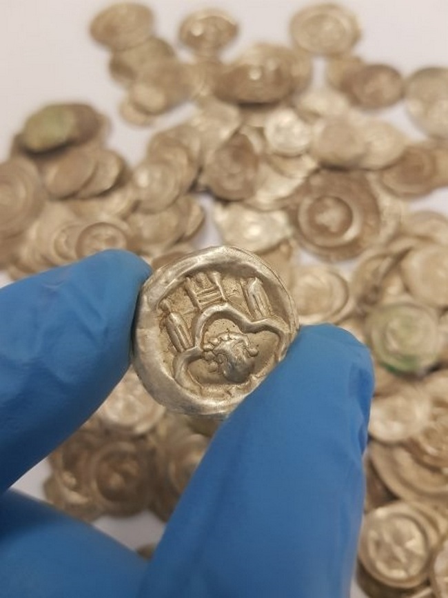 У Польщі собака знайшла середньовічні монети.  Фото