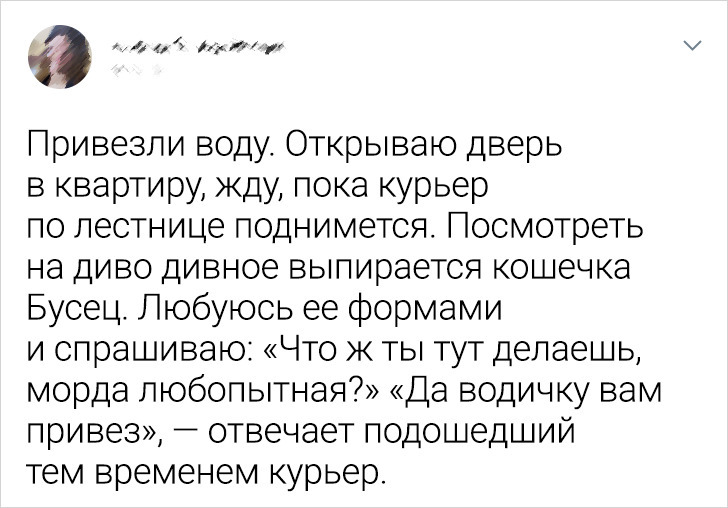 15+ историй из жизни курьеров, которым скучать некогда, даже если очень сильно хочется